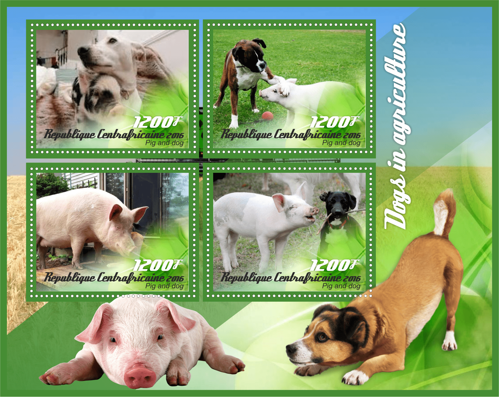 Фауна Собаки и свиньи